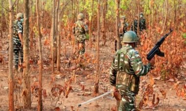 बस्तर में नक्सलवाद पर बड़ा प्रहार: सुकमा-बीजापुर सीमा पर 2 नक्सली ढेर, हथियार बरामद