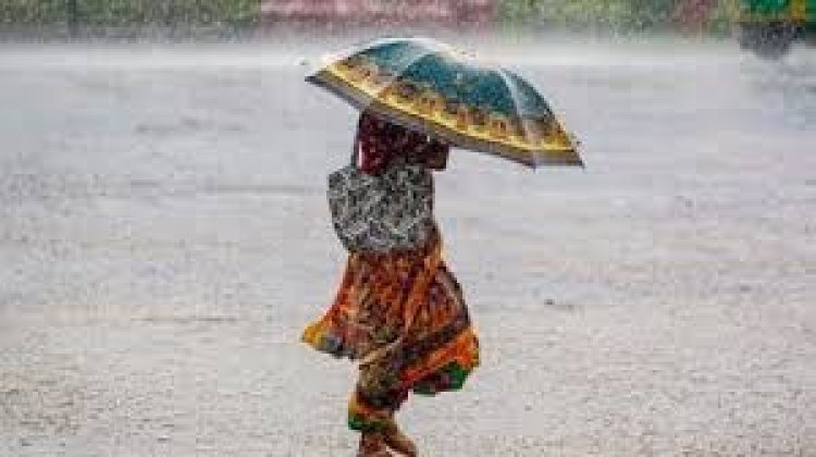 छत्तीसगढ़ में फिर बिगड़ेगा मौसम: सरगुजा और बिलासपुर समेत कई जिलों में बारिश-ओलावृष्टि का अलर्ट, अगले 48 घंटे भारी
