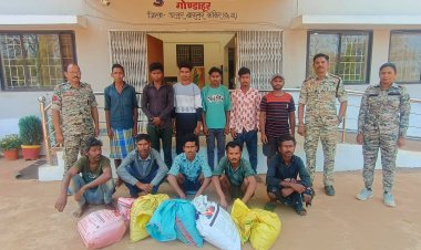 भालू का शिकार कर खाल की तस्करी करने वाले 11 आरोपी गिरफ्तार ...