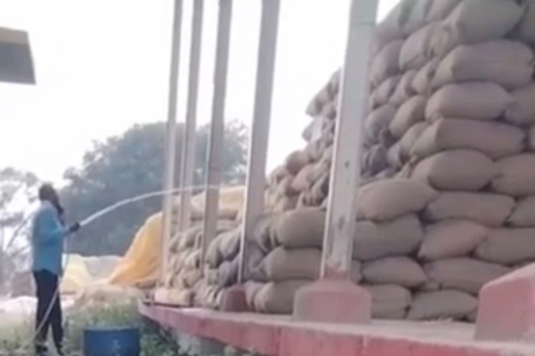 आरंग: धान में पानी डालने का वीडियो वायरल, कलेक्टर ने दिए जाँच के आदेश