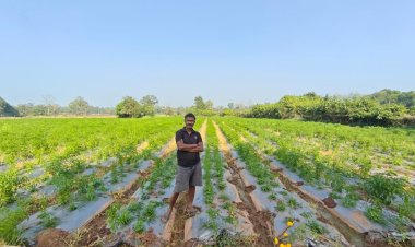 नक्सल मुक्त क्षेत्रों में आधुनिक खेती से कृषक गोपाल एर्रागोला ने रची सफलता की नई इबारत