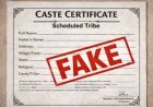 बिलासपुर हाईकोर्ट से बड़ी खबर: फर्जी जाति प्रमाण पत्र मामले में राज्य सरकार को सख्त निर्देश, 4 महीने में जांच पूरी करने का अल्टीमेटम
