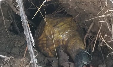 ग्राम गटटाकाल के जंगल-पहाड़ी क्षेत्र से 01नग प्रेशर कुकर IED बरामद