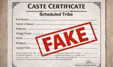 बिलासपुर हाईकोर्ट से बड़ी खबर: फर्जी जाति प्रमाण पत्र मामले में राज्य सरकार को सख्त निर्देश, 4 महीने में जांच पूरी करने का अल्टीमेटम