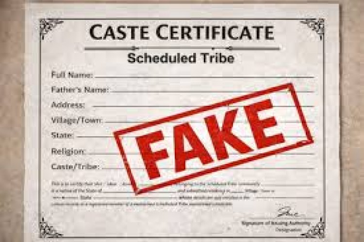 बिलासपुर हाईकोर्ट से बड़ी खबर: फर्जी जाति प्रमाण पत्र मामले में राज्य सरकार को सख्त निर्देश, 4 महीने में जांच पूरी करने का अल्टीमेटम