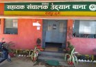 सहायक संचालक उद्यान बाना नर्सरी में अवैध पेड़ कटाई व शासकीय भवन के दुरुपयोग की शिकायत पर जांच, भारी अनियमितताएं उजागर