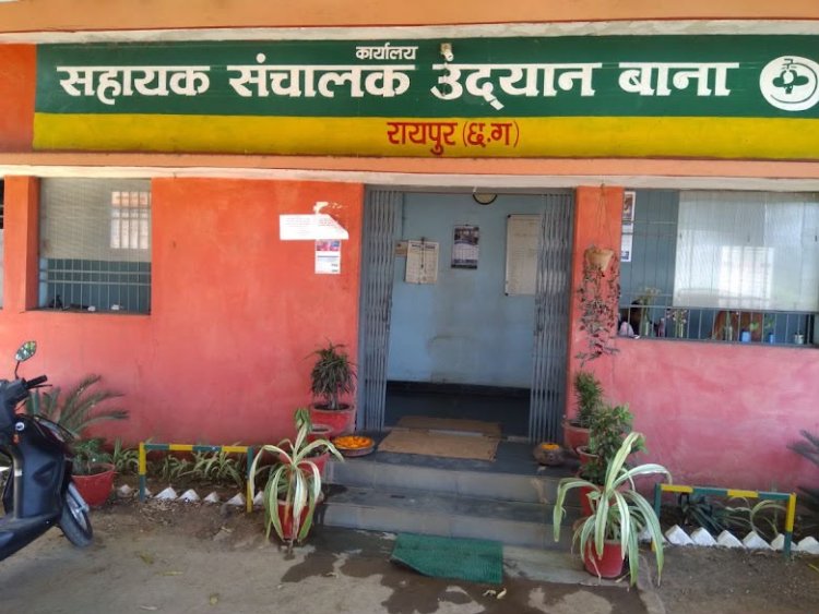 सहायक संचालक उद्यान बाना नर्सरी में अवैध पेड़ कटाई व शासकीय भवन के दुरुपयोग की शिकायत पर जांच, भारी अनियमितताएं उजागर